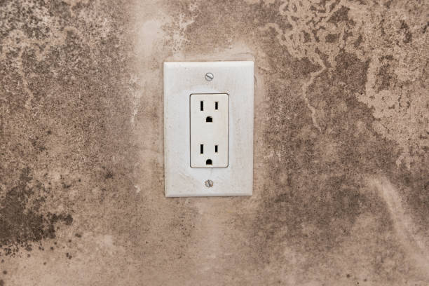 Best Mold Removal for HVAC Installations  in Pleasant Hills, PA