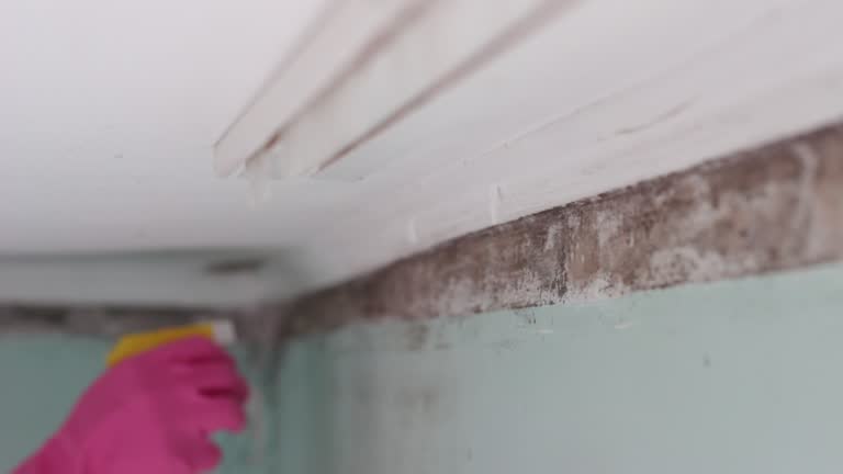Best HVAC Mold Inspection and Cleaning  in Pleasant Hills, PA